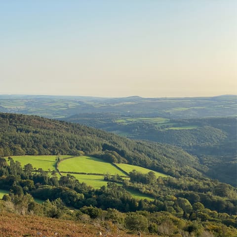 Take a twenty-minute drive to Dartmoor National Park for glorious hiking trails