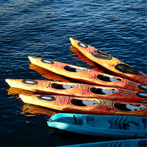 Go kayaking on the Lac d'Aureilhan-Mimizan before enjoying a seafood feast in one of the many restaurants