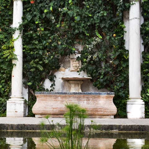 Stroll through the beautiful grounds of the Real Alcazar de Sevilla