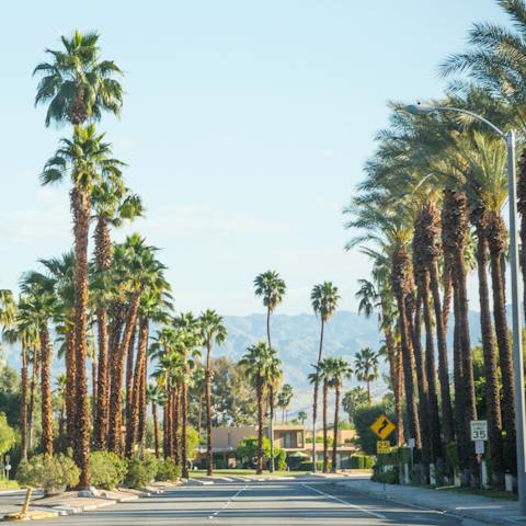 Head out an explore the unique Coachella Valley