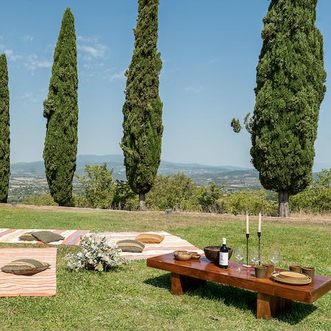 Share a picnic with the sprawling hillside views