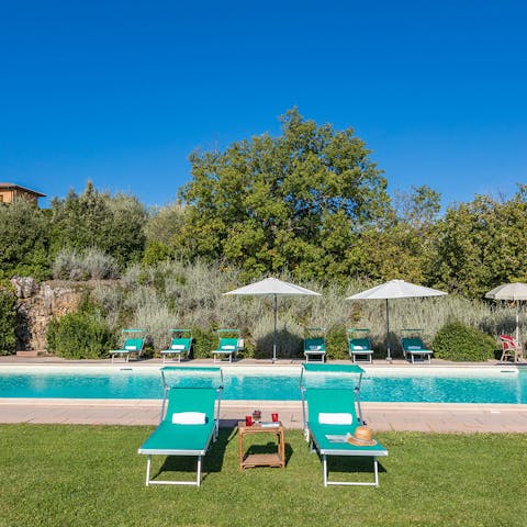 Spend idyllic days lounging by the private pool