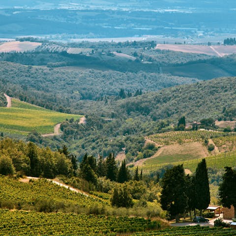 Immerse yourself in the beauty of Tuscany from the hills of Chianti