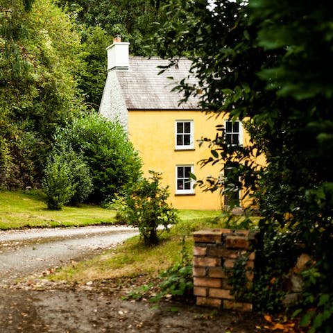 Fall in love with this cosy homestead on the edge of St Dogmaels village