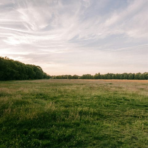 Go for a long walk around Wimbledon Common, not far on foot