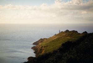 Pirate's Perch image 14