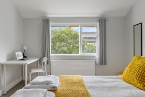 A Bright New Day image 4