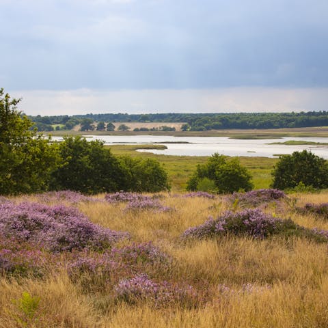Explore the Dedham Vale Area of Outstanding Natural Beauty that surrounds the cottage