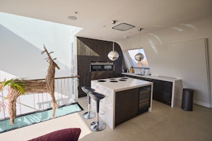 Penthouse in the Capital image 13