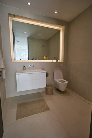 Penthouse in the Capital image 6