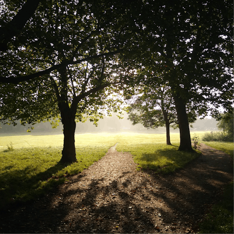 Enjoy a morning stroll through Wandsworth Common