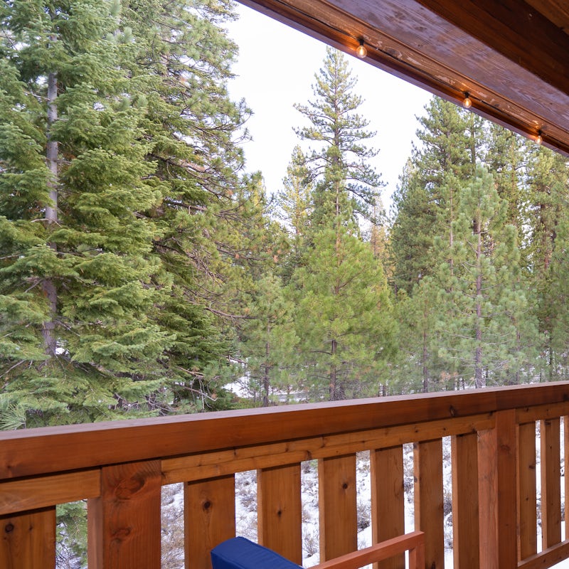 Explore the woods and nature trails of Truckee from your door