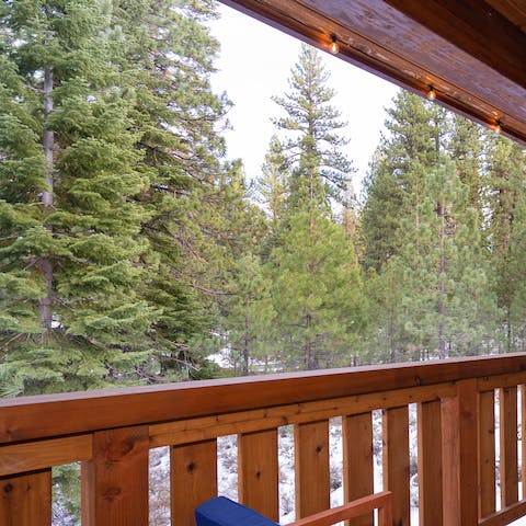 Explore the woods and nature trails of Truckee from your door