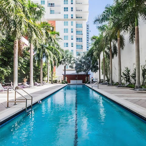 Cool off from the Miami heat in the communal swimming pool