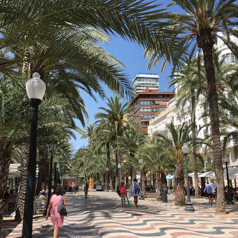 Stay in the heart of Alicante and explore the palm-lined boulevards and pavement cafés