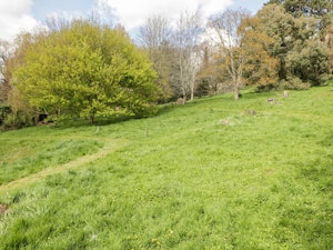 Georgian Pleasure image 10