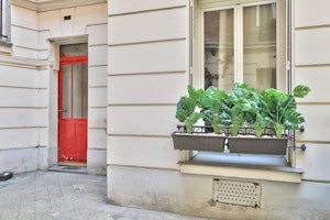 A Paris Touch image 15