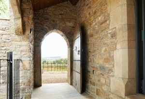 The Blue Stone image 2