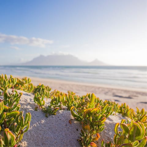 Head to nearby Queen's beach for a refreshing dip in the ocean