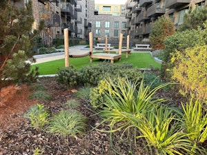 Spitalfields & Starlight image 11