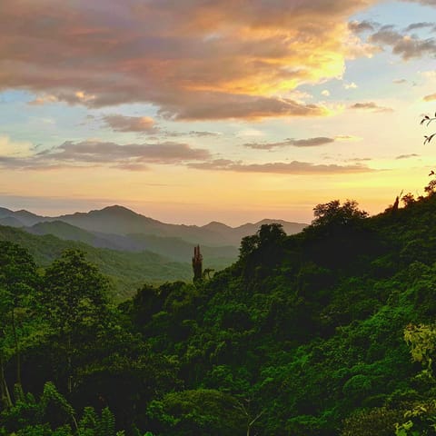 Discover the tropical landscapes and stunning sunsets of Colombia
