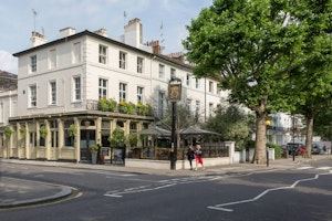 Cultured Kensington image 6