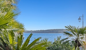 Palm Beach Flair image 13