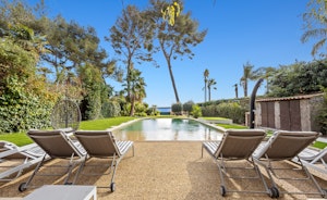 Palm Beach Flair image 12