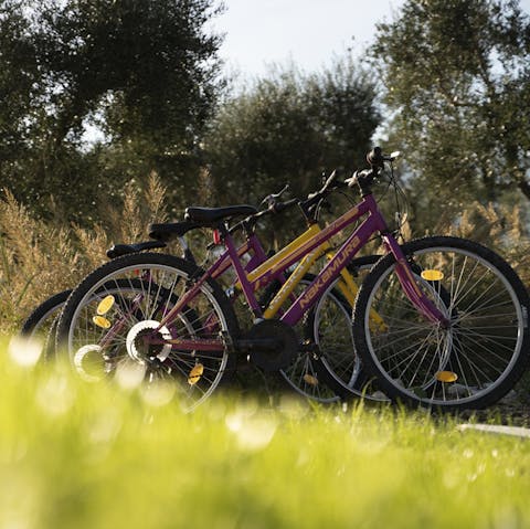 Use the home's bicycles to traverse the 800-metre path that surrounds the estate