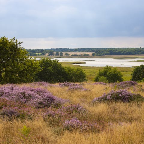 Walk along the banks of the River Alde — only five minutes' drive away — and look out for wildlife