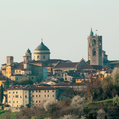 Experience the cultural depth and beauty of Bergamo from the city centre