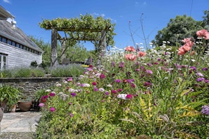 Devon Dream image 11