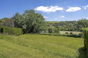 Devon Dream image 9