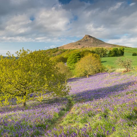 Get out an explore the North Yorkshire Moors right on your doorstep