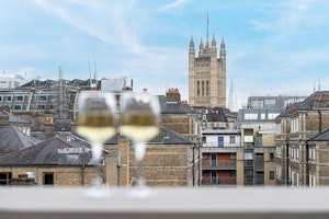The British Ambassador image 3