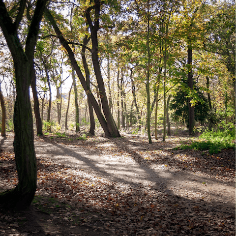 Enjoy a peaceful morning stroll in Bois de Boulogne, just footsteps away