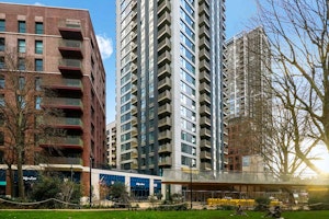 Elevated Style image 12