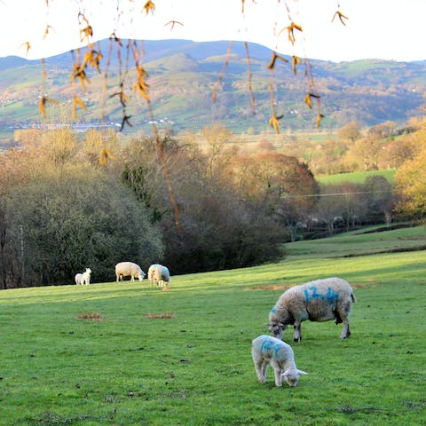Don your walking shoes and set off for a ramble in the surrounding countryside
