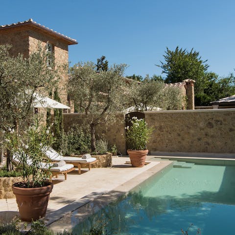 Relax in the shade of the olive trees