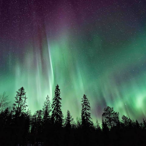 Look out for the incredible Northern Lights