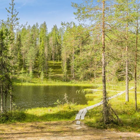 Stroll down to the pond and make use of the communal cooking hut