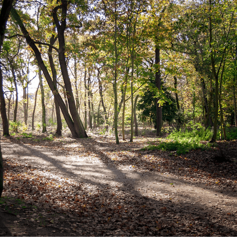 Take an afternoon stroll through the beautiful Bois de Boulogne, a fifteen-minute walk away
