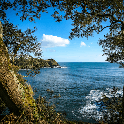 Visit Fowey and its scenic Readymoney Cove, twenty-five minutes away by car