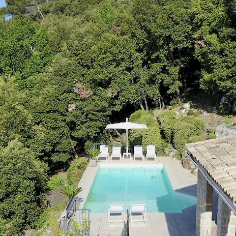 Have a refreshing swim in the private outdoor pool, surrounded by lush greenery