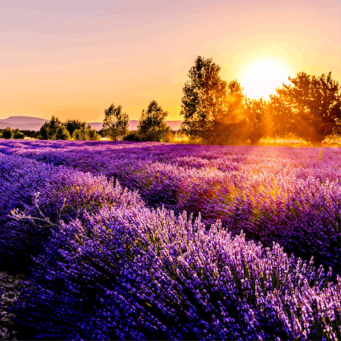 Explore the stunning countryside of Southern France