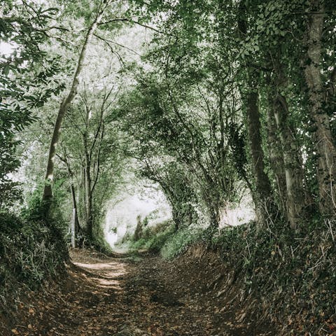 Explore the countryside surrounding Sarzeau, in this coastal region of Brittany