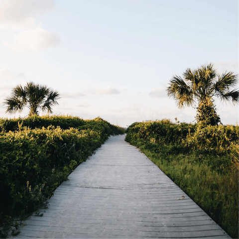 Discover the lush foliage native to this South Carolina island