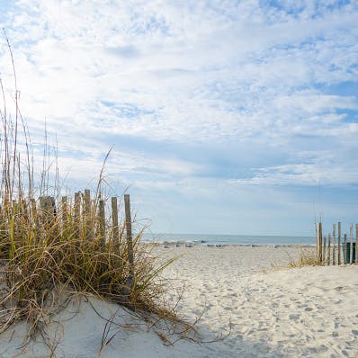 Pack a picnic and head for one of Hilton Head Island's many beaches