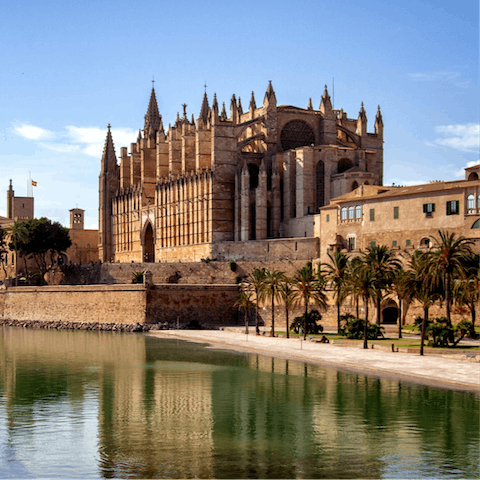 Take a day trip to the striking city of Palma, less than an hour away by car