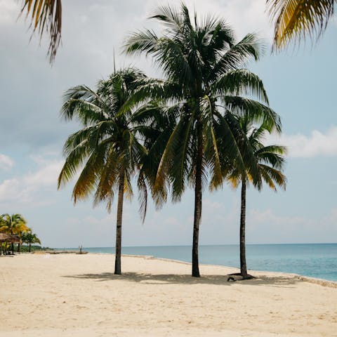 Spend the day soaking up the sun on the pristine sands of your resort's private beach